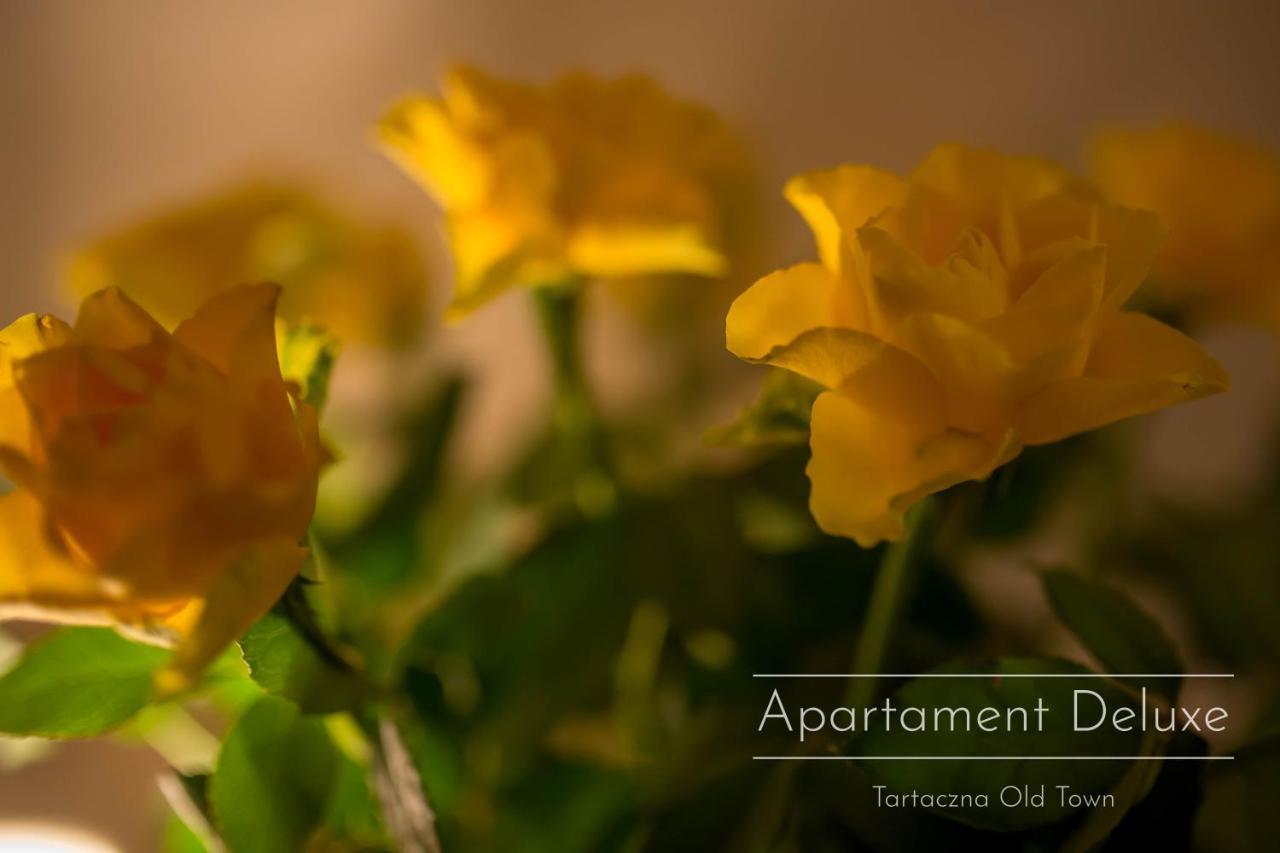 Tartaczna Old Town Apartment Gdansk Luaran gambar